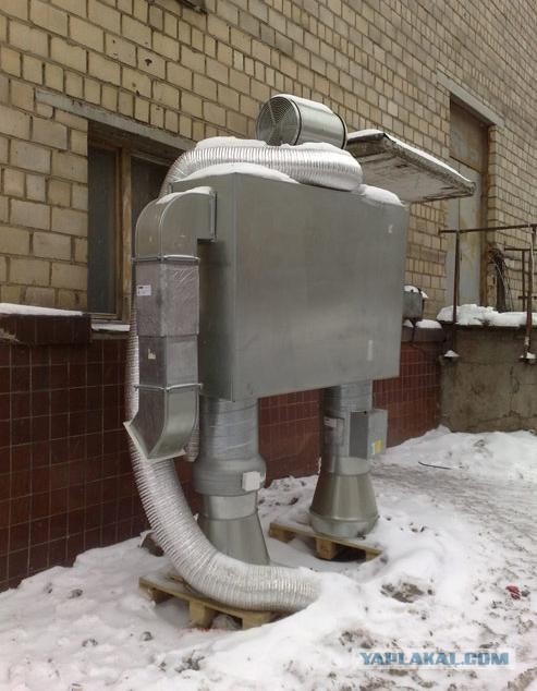 Огромные человекообразные уже на страже!