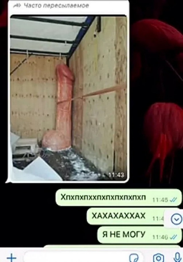 Нуштош 07.01.2025. Межпраздничный спецвыпуск