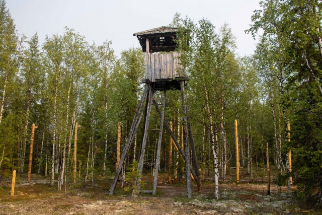 501 стройка