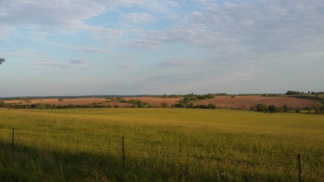 Калининград и область