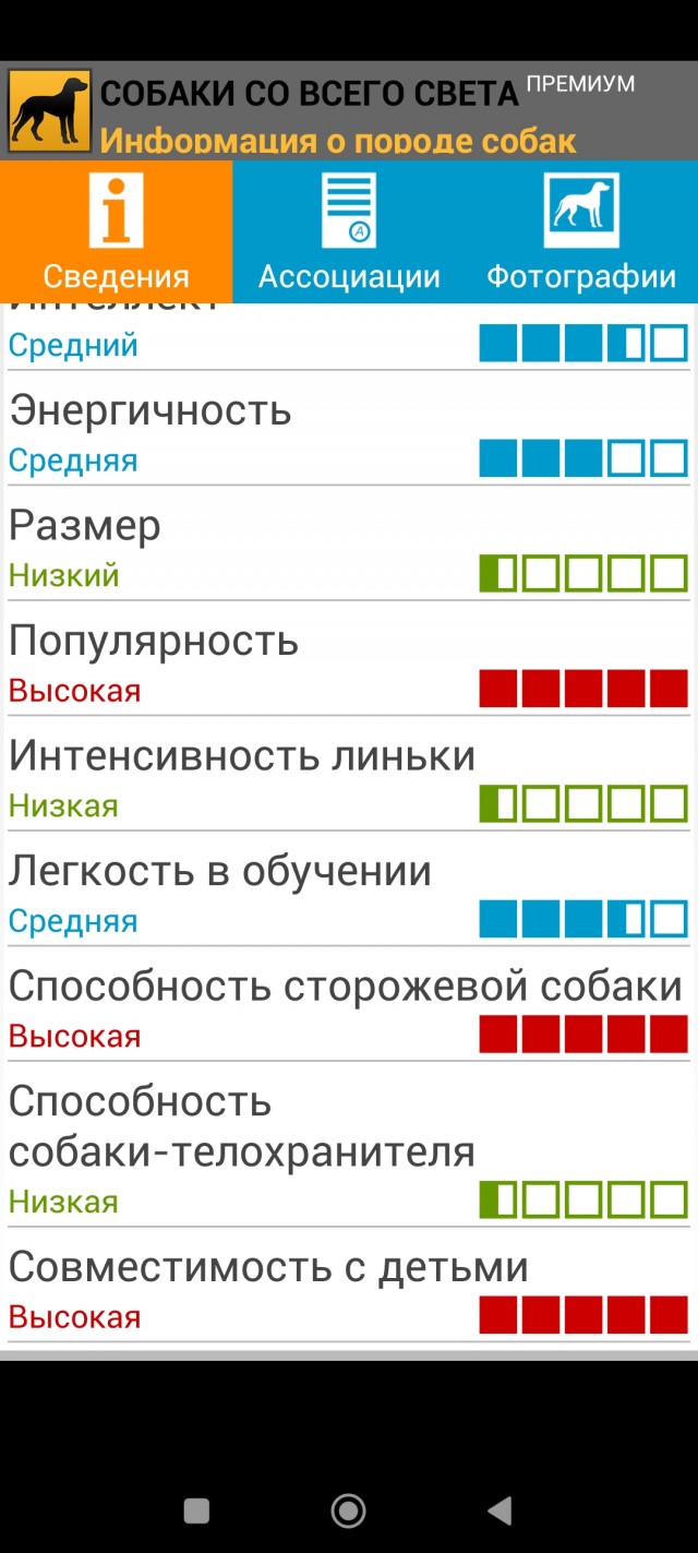 Превращение из бомжика в симпатягу