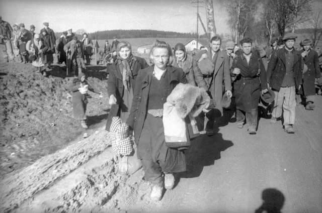 Фотограф Евгений Халдей