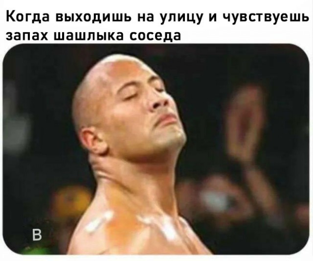 Занятные картинки с надписями и шашлыки на майские