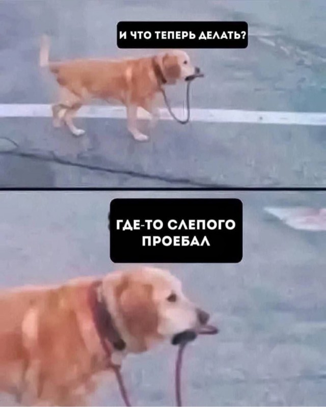 На случай важных переговоров