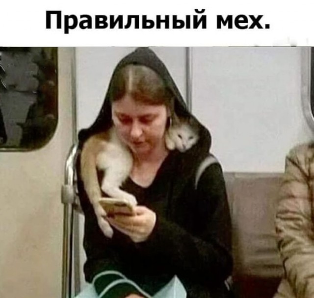 Так себе картинки 11.05.25