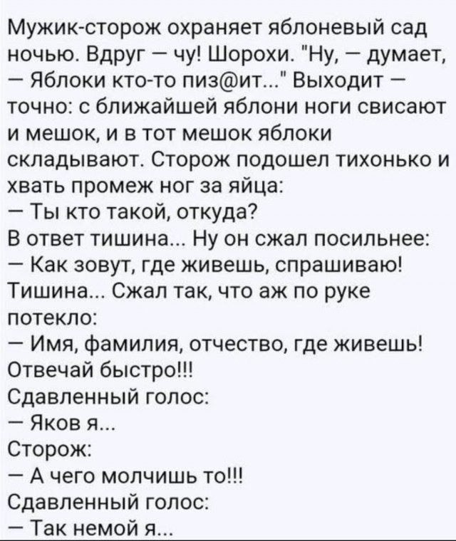 Веселые картинки в пятницу (30.05)