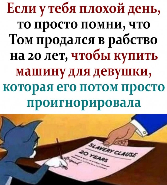 Так себе картинки 03.07.25