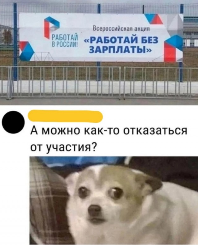 Веселые картинки в пятницу (18.02)