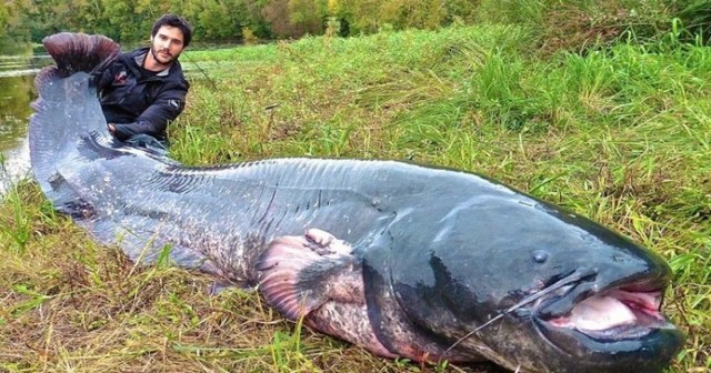 На счёт Скорой Помощи,несколько слов скажу