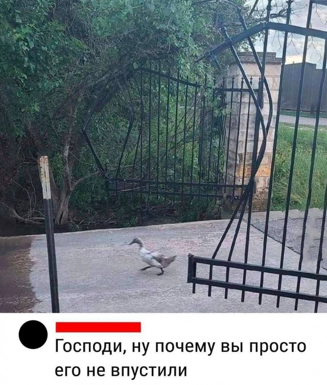 Ручей тупости
