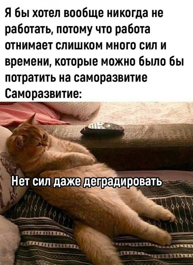 Так себе картинки 14.09.25