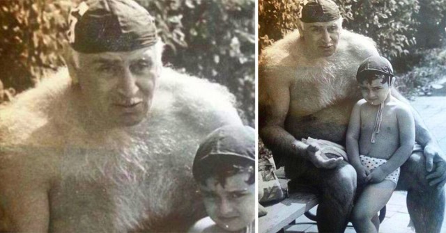 Включил отопление, Васька доволен
