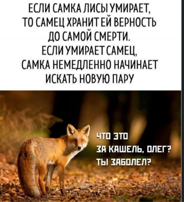 Быстрая деградация