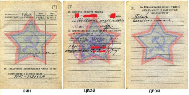 день повара