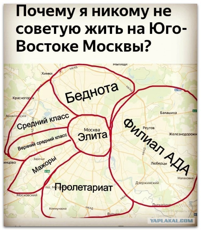 Подарок от мэра Москвы