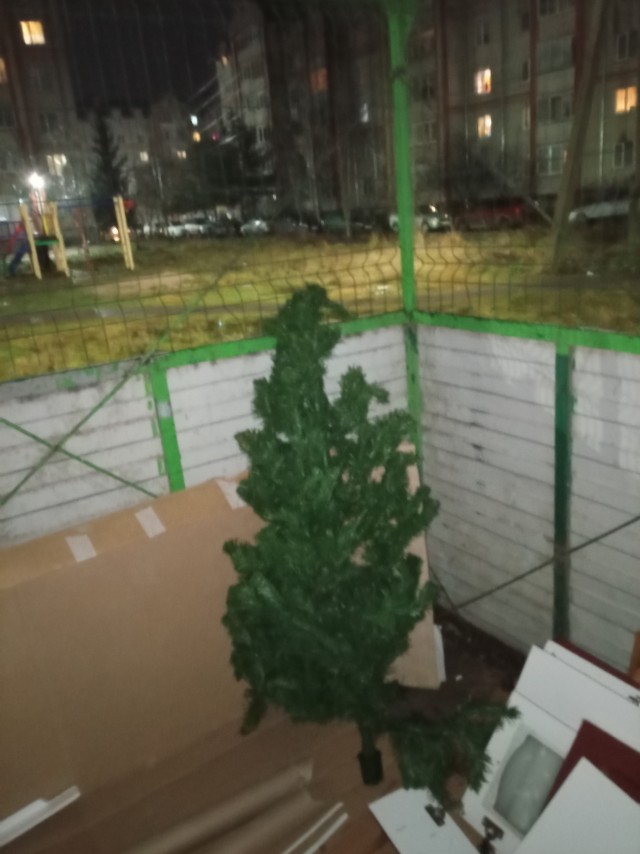А Вы ёлочку поставили?