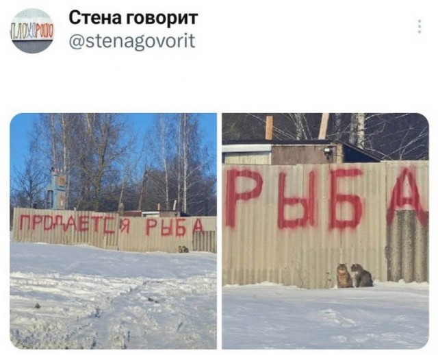 Веселые картинки в пятницу (16.01)