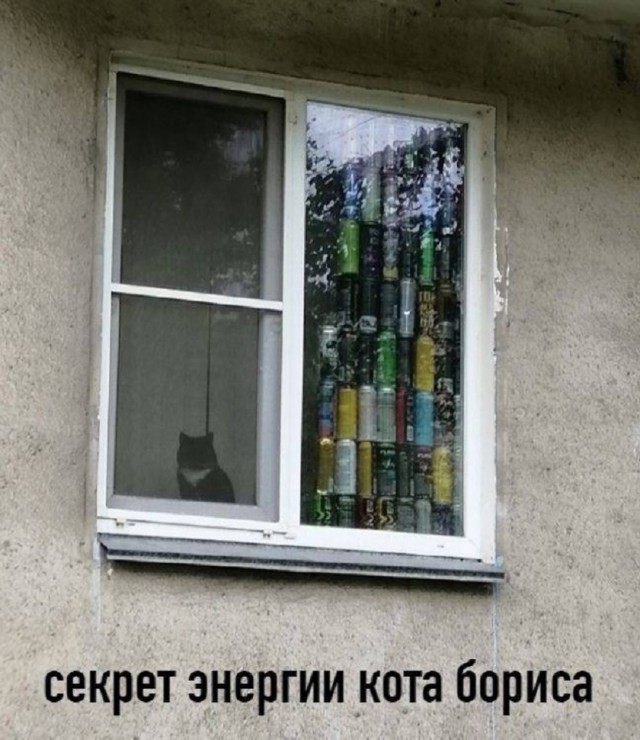 Так себе картинки 21.01.26