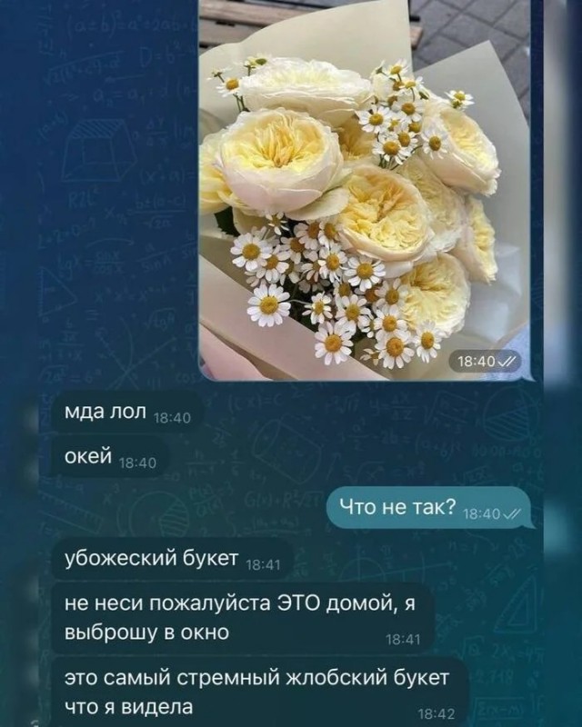 Да что тебе собака, ещё надо то?!