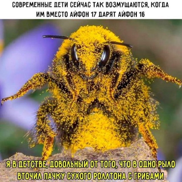 Картиночки, баянчики 11 марта