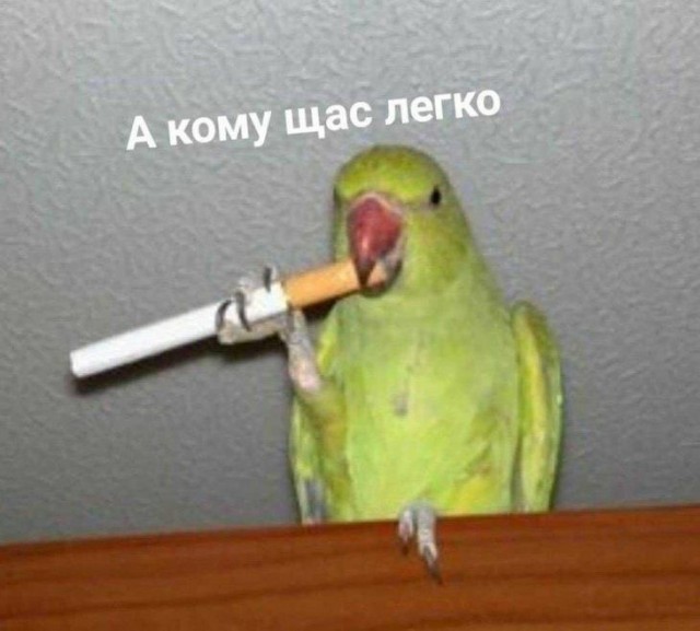 Среды картинки