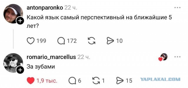 Так себе картинки 17.05.26