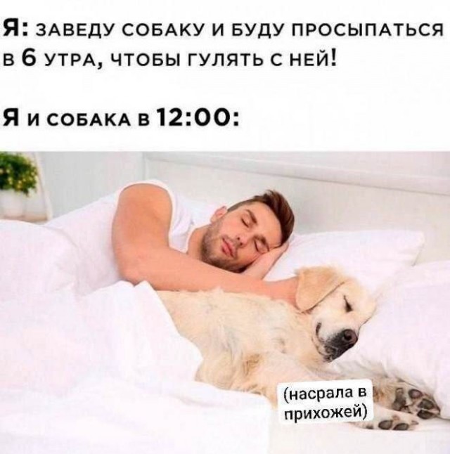 Веселые картинки в понедельник (25.05)