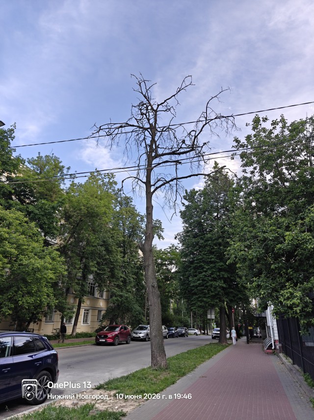 Красивое фото.