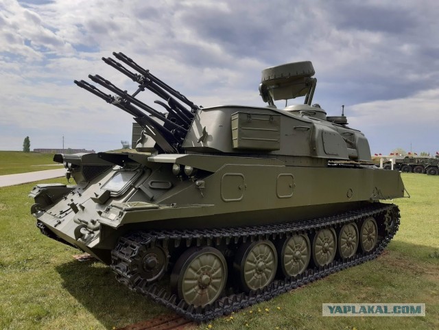 А где Шилки?