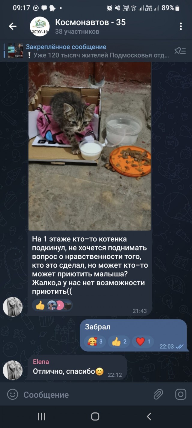Когда не разрешили сделать "Кусь"