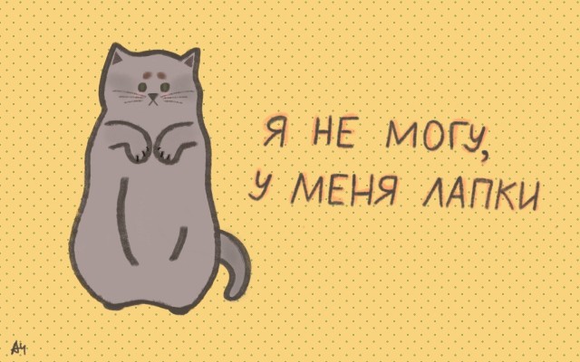 Дочь президента Эрдогана призвала к деколонизации Запада