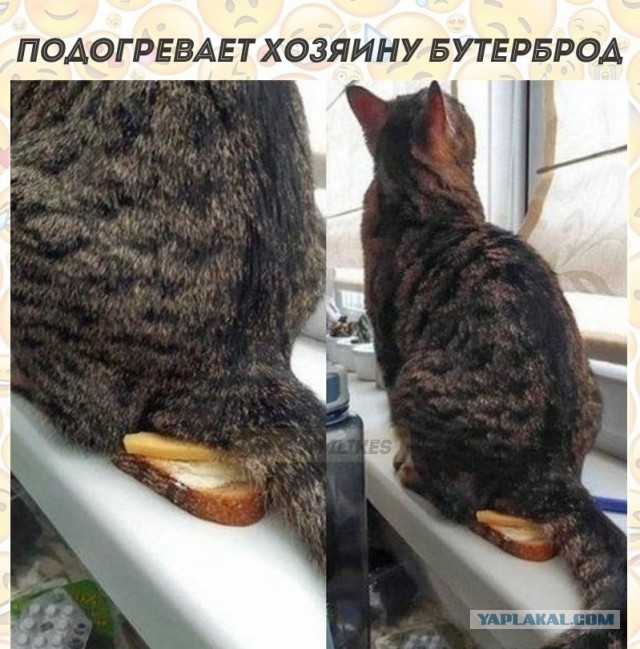 Произошло бронирование столика