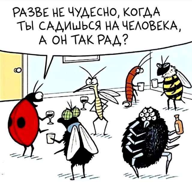 Картинки для деградации 296 (разной степени свежести)