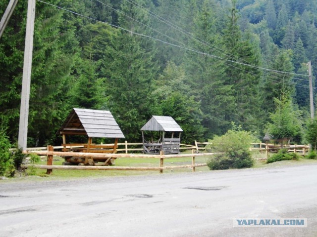 В Карпатах