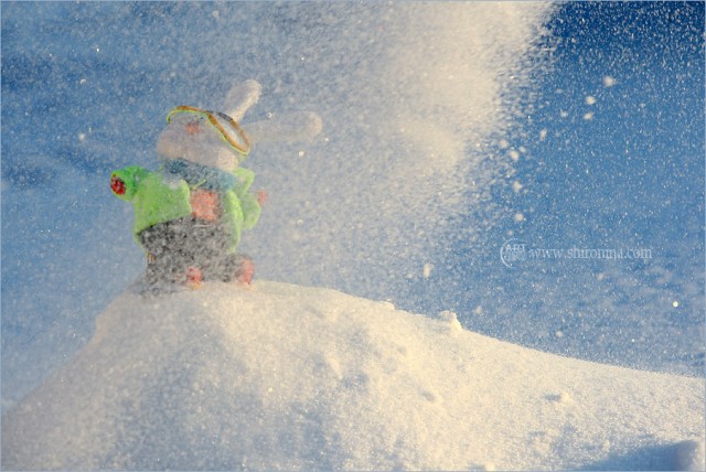 Тяпа и сноуборд