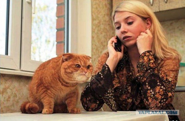 Раскорячило!