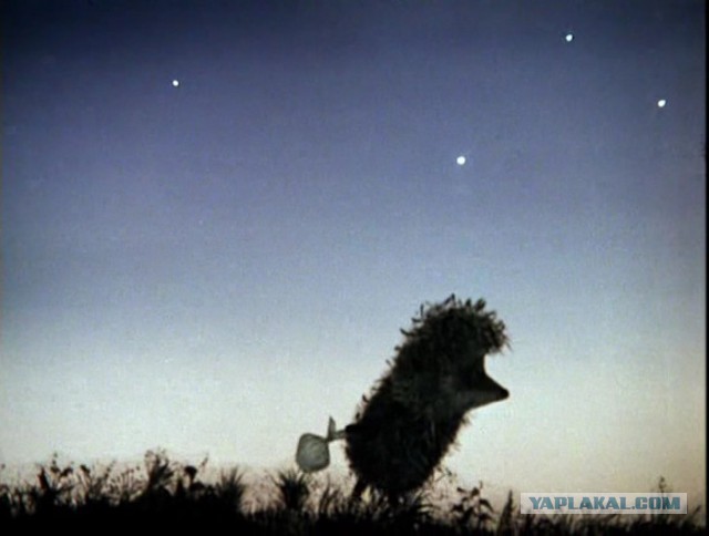 Категории женщин