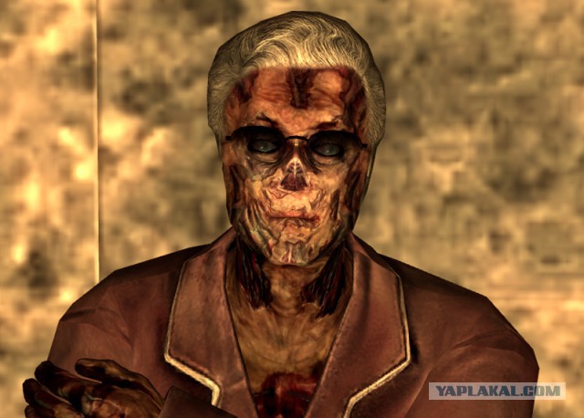 Шантель Винни