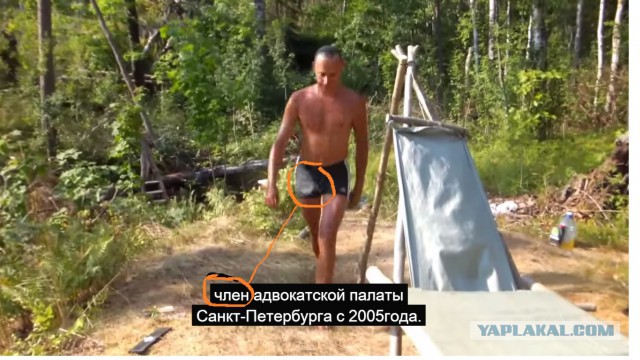 Огненная лесная мебель
