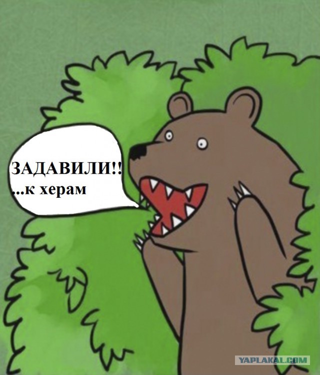 Граждане, не выгуливайте медведей на ж/д путях!
