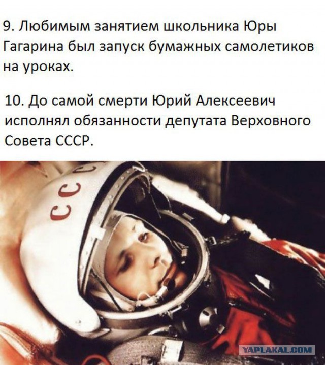 20 фактов обо всем