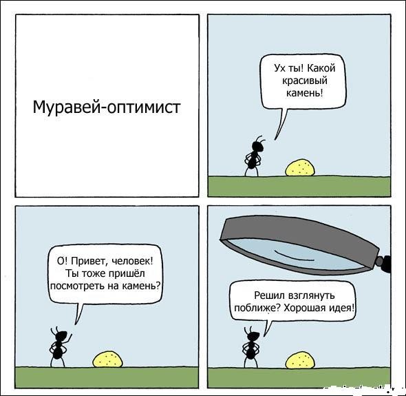 Муравей-оптимист