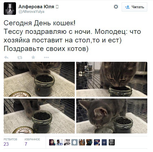Член ОП Подмосковья не приняла критику из-за фото