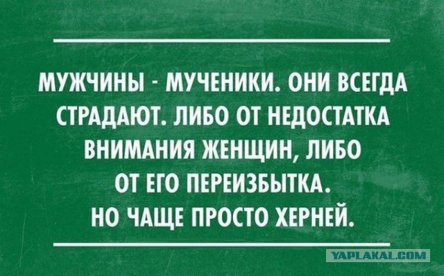 Забавные картинки из Сети