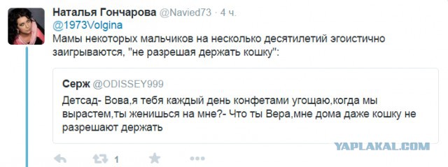 Смешные комментарии из социальных сетей
