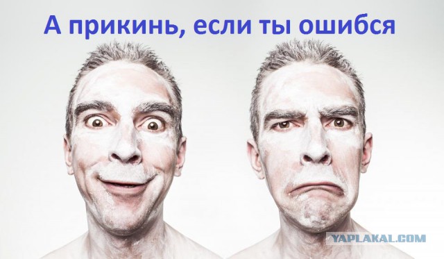 Кота с кошкой запалили