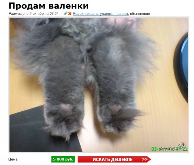 Объявления с Авито