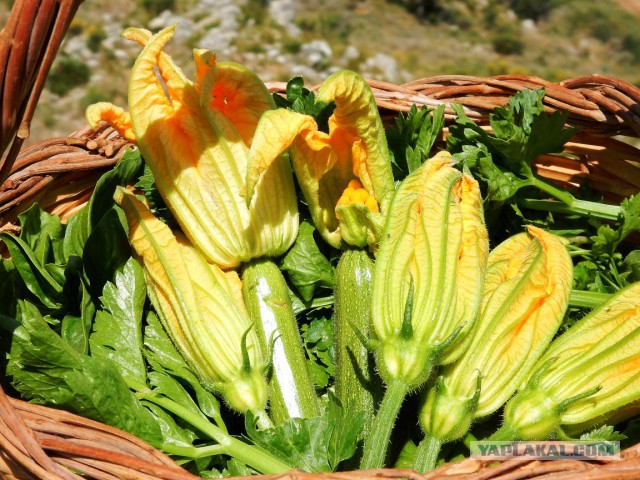 Готовят наши дети и мы готовим для детей.