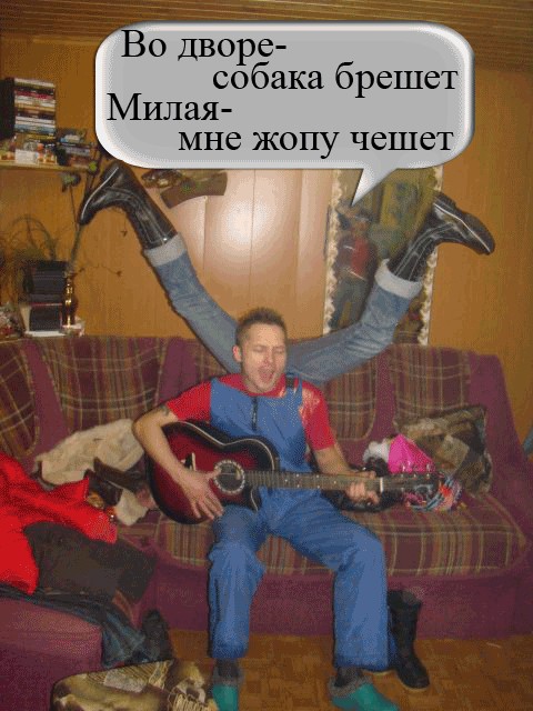 Фотожаба: Четырехногий гитарист