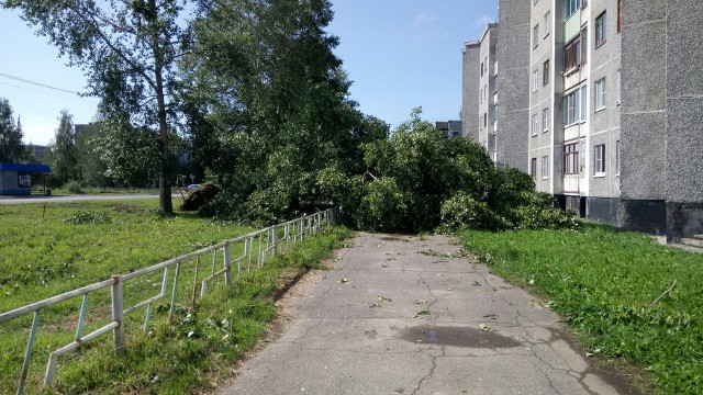 Свежий ветер пролетал. Вот что оставил за собой.